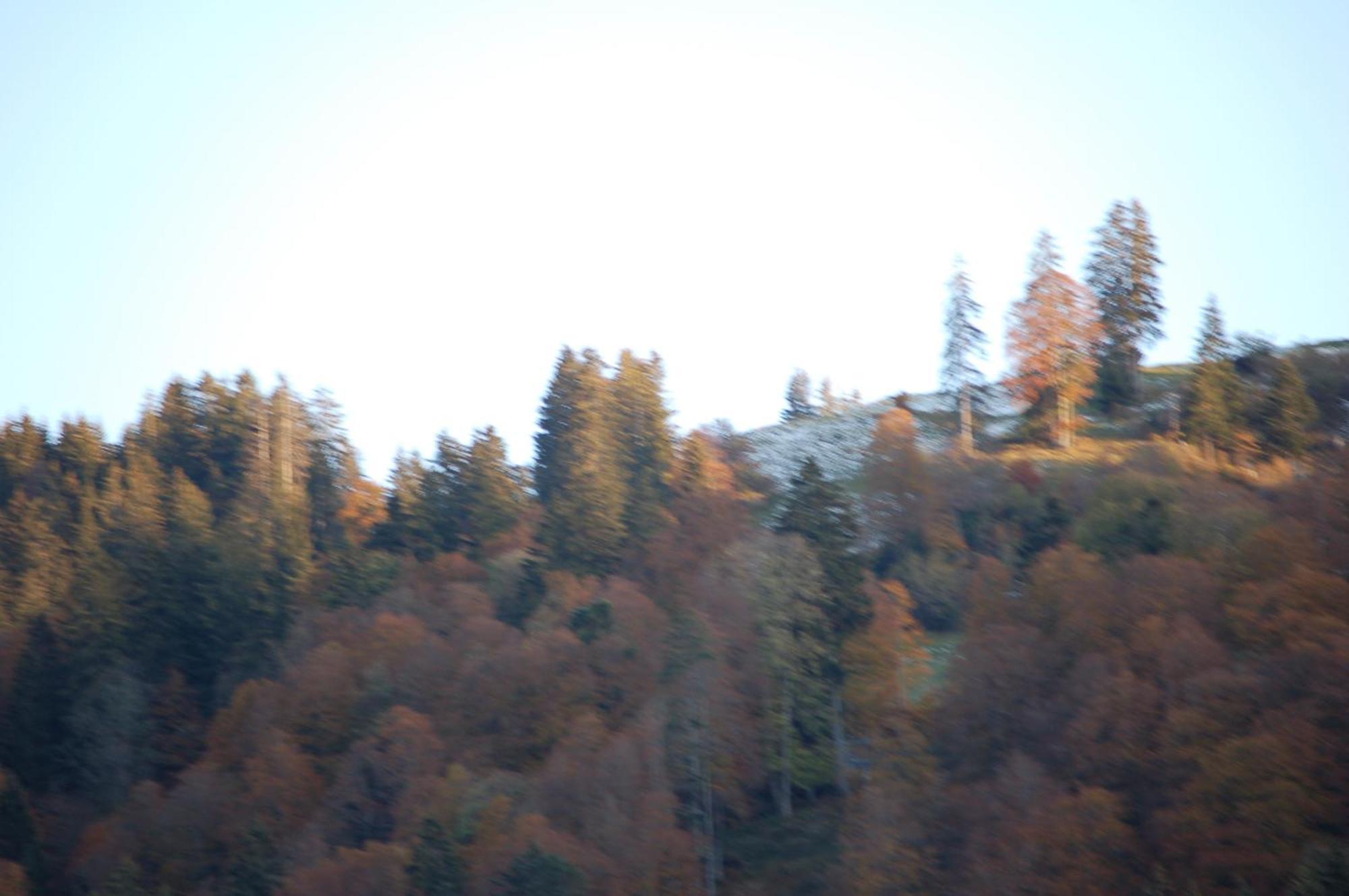 Gasthaus Schaefli Alt St. Johann ภายนอก รูปภาพ