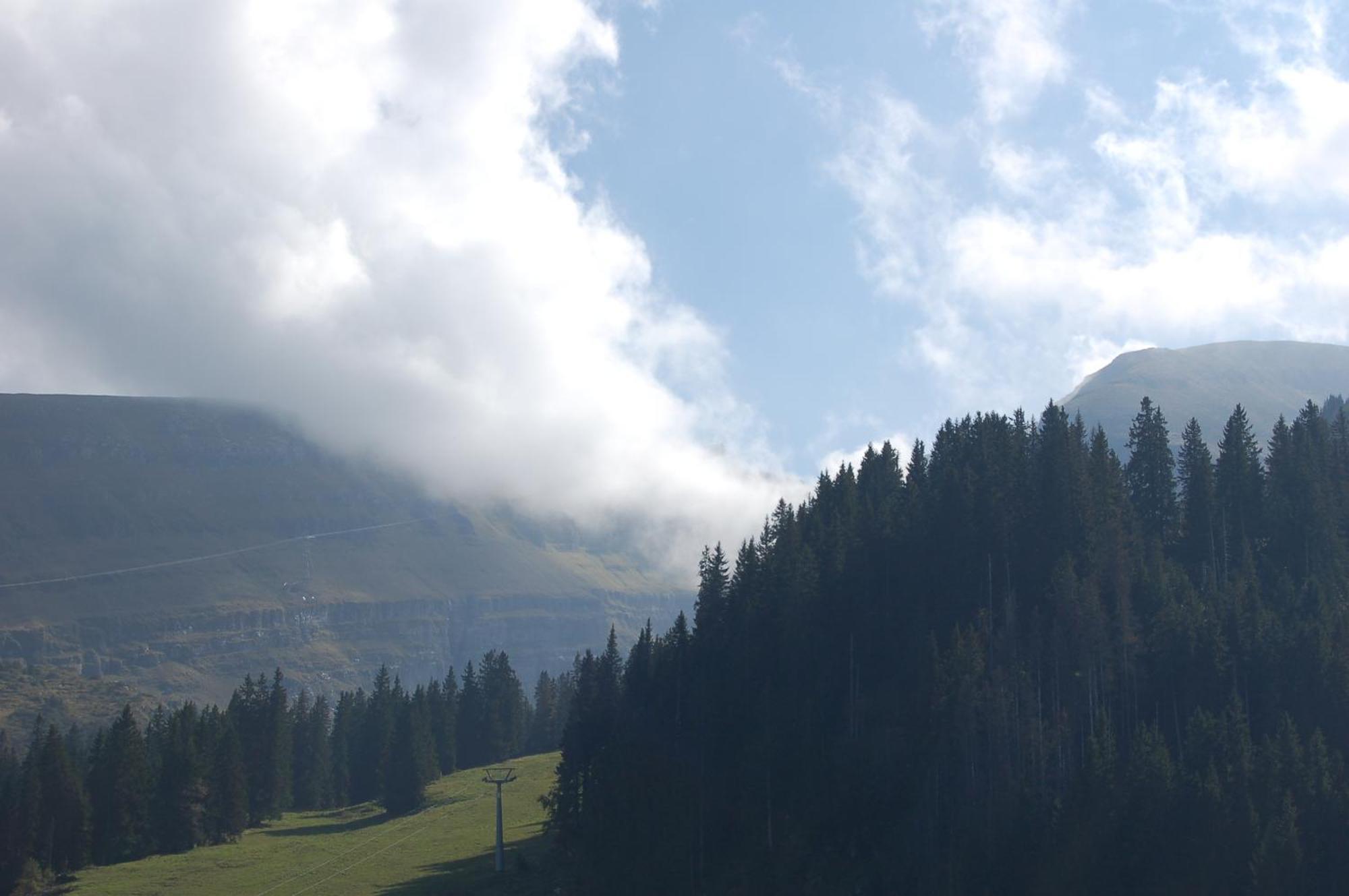 Gasthaus Schaefli Alt St. Johann ภายนอก รูปภาพ