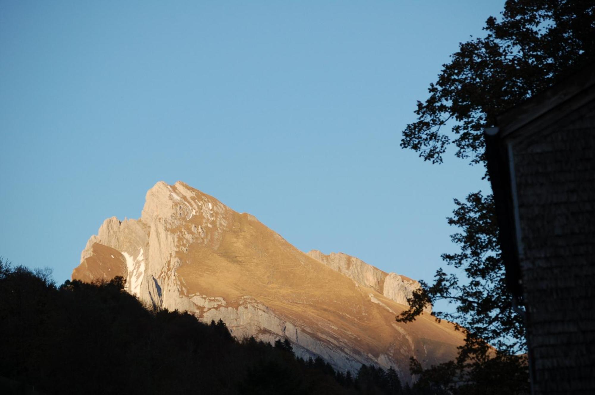 Gasthaus Schaefli Alt St. Johann ภายนอก รูปภาพ